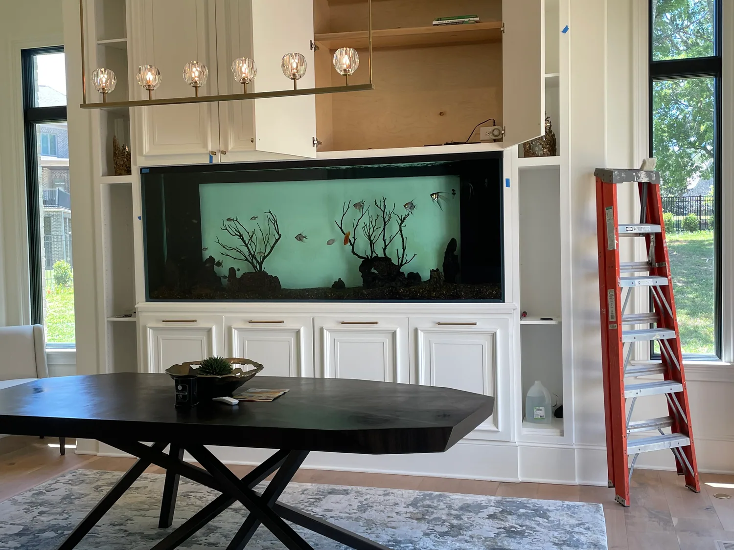 Panoramic freshwater aquarium built into white cabinetry in a client's dining room
